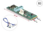 DELOCK Konverter M.2 Key B+M Stecker zu 2 x USB Bu 50cm Kab.