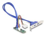 DELOCK Konverter M.2 Key B+M Stecker zu 2 x USB Bu 50cm Kab.