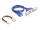DELOCK Konverter M.2 Key B+M Stecker zu 2 x USB Bu 50cm Kab.