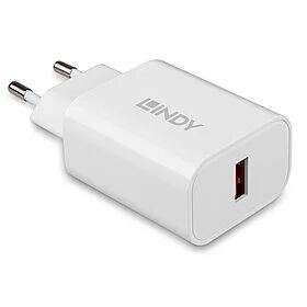Lindy 73412 Ladegerät für Mobilgeräte Smartphone, Tablets Weiß AC Schnellladung Drinnen, Draußen