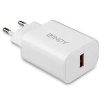 Lindy 73412 Ladegerät für Mobilgeräte Smartphone, Tablets Weiß AC Schnellladung Drinnen, Draußen