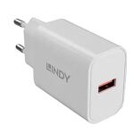 Lindy 73412 Ladegerät für Mobilgeräte Smartphone, Tablets Weiß AC Schnellladung Drinnen, Draußen