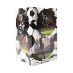 HERMA Stifteköcher Fussball Stiftehalter