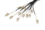 Digitus Vorkonfektionierte Glasfaser Universal Breakout Kabel, Multimode OM4, 12 Fasern, LC/UPC - LC/UPC