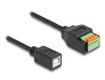DeLOCK USB 2.0 Kabel Typ-B Buchse zu Terminalblock Adapter mit Drucktaster 15 cm