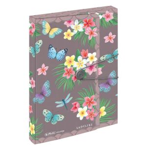 Herlitz 50044092 Aktenordner Mehrfarbig Polypropylen (PP)