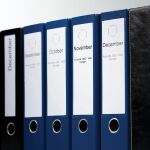 DYMO Original LabelWriter-Mehrzwecketiketten/große Ordnerrücken-Etiketten | 59 mm x 190 mm | Rolle mit 110 leicht ablösbaren Etiketten | selbstklebend | für LabelWriter Etikettendrucker