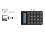 DELOCK USB Typ-A Nummernblock kabellos 2,4GHz Taschenrechner