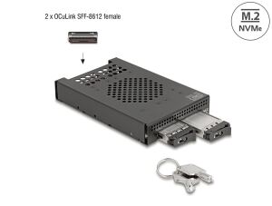 DeLOCK 3.5″ Wechselrahmen für 2 x M.2 NVMe SSD mit OcuLink SFF-8612 Anschluss