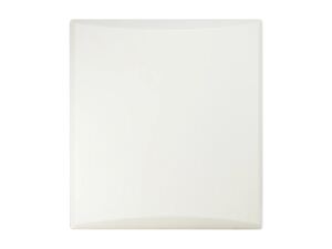 LevelOne WAN-4201 Netzwerk-Antenne Richtantenne N-Typ 20 dBi