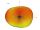 DELOCK ZigBee Antenne SMA 2dBi starr