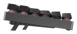 CHERRY MX 8.2 TKL Wireless RGB Tastatur Gaming USB + RF Wireless + Bluetooth QWERTZ Deutsch Schwarz