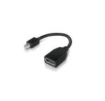 Lenovo 4X90L13971 DisplayPort-Kabel Mini DisplayPort Schwarz