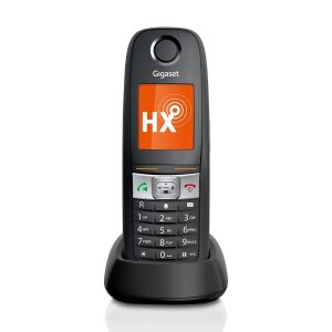 Gigaset E630HX Analoges/DECT-Telefon Anrufer-Identifikation Grau