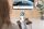 Digitus Click & Present Pro - Wireless Collaboration System