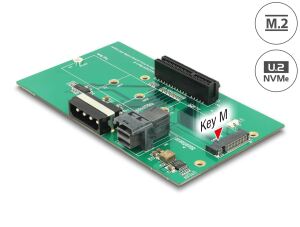 DELOCK U.2 SFF-8643 Adapter zu PCIe x4 oder M.2 Key M Slot