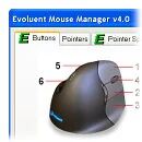 Evoluent VM4S Maus Büro USB Typ-A