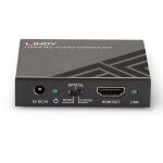 Lindy 38203 Audio-Konverter Schwarz
