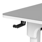 COUGAR Gaming Schreibtisch E-Grav 160, Weiß