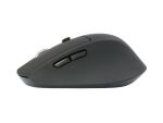Conceptronic LORCAN02B Ergo Maus Büro rechts...