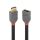 Lindy 36496 DisplayPort-Kabel 1 m Schwarz