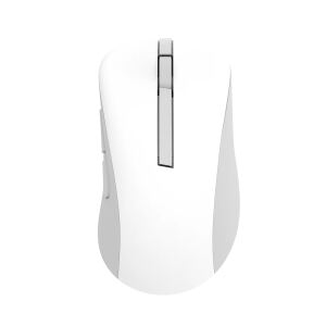 ASUS Wireless Mouse MD102 Maus Universal rechts RF Wireless + Bluetooth Optisch 1600 DPI