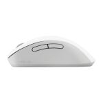 ASUS Wireless Mouse MD102 Maus Universal rechts RF Wireless + Bluetooth Optisch 1600 DPI