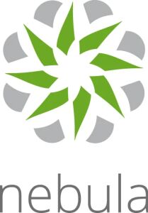 Zyxel LIC-NPRO-ZZ1Y00F Software-Lizenz/-Upgrade 1 Lizenz(en) 1 Jahr(e)