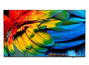 Philips 50HFL6214U 127 cm (50") 4K Ultra HD Smart-TV WLAN Anthrazit 400 cd/m² Rollbares Display