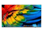 Philips 50HFL6214U 127 cm (50") 4K Ultra HD Smart-TV...