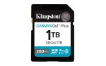 Kingston Technology Canvas Go! Plus 1TB SDXC Canvas Go...
