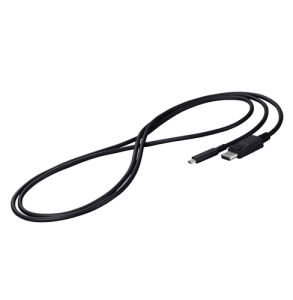 EIZO CP200-BK DisplayPort-Kabel 2 m USB Typ-C Schwarz