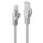 Lindy 48163 Netzwerkkabel Grau 2 m Cat6 U/UTP (UTP)