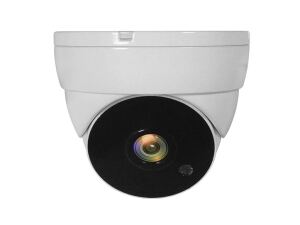 LevelOne ACS-5302 Sicherheitskamera Dome CCTV Sicherheitskamera Innen & Außen Zimmerdecke