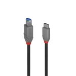 Lindy 36668 USB Kabel USB 3.2 Gen 1 (3.1 Gen 1) 3 m USB C USB B Schwarz