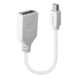 Lindy 41021 DisplayPort-Kabel 0,15 m Mini DisplayPort Weiß
