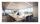 Manhattan 462679 TV-Halterung 177,8 cm (70") Schwarz