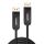Lindy 38525 DisplayPort-Kabel 50 m Schwarz