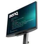 BenQ RD240Q Computerbildschirm 61,2 cm (24.1") 2560 x 1600 Pixel WQXGA LCD Schwarz