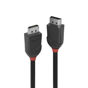 Lindy 36490 DisplayPort-Kabel 0,5 m Schwarz
