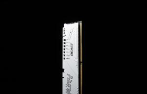 Kingston Technology FURY Beast 32GB 6000MT/s DDR5 CL36 DIMM (Kit of 2) White EXPO
