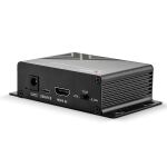 Lindy 38361 Audio-Konverter Schwarz