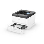 Ricoh P 502 1200 x 1200 DPI A4 WLAN