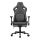 COUGAR Gaming-Stuhl Defensor S Jet Gray F