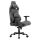 COUGAR Gaming-Stuhl Defensor S Jet Gray F
