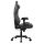 COUGAR Gaming-Stuhl Defensor S Jet Gray F