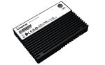 Kingston Technology 3,84TB DC3000ME U.2 PCIe 5.0 NVMe TCG Opal Enterprise SSD