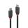 Lindy 36906 USB Kabel USB 3.2 Gen 1 (3.1 Gen 1) 1 m USB C 10 Gbit/s Schwarz