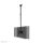 Neomounts CL35-340BL22 Doppel Monitor-/TV-Deckenhalterung 23-43" - H 106-156 cm