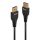 Lindy 36462 DisplayPort-Kabel 2 m Schwarz